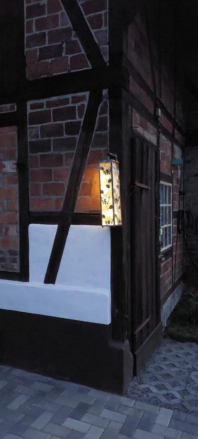 Ferienhaus Blaue Blume Mit 11 Kw Ladestation, Kamin, Terrasse, Eingezaeuntem Garten, Sauna, Wlan, Netflix, 2 Hunde Willkommen! Güntersberge Exterior foto