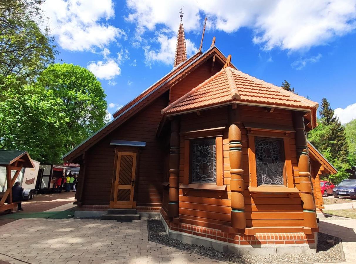 Ferienhaus Blaue Blume Mit 11 Kw Ladestation, Kamin, Terrasse, Eingezaeuntem Garten, Sauna, Wlan, Netflix, 2 Hunde Willkommen! Güntersberge Exterior foto