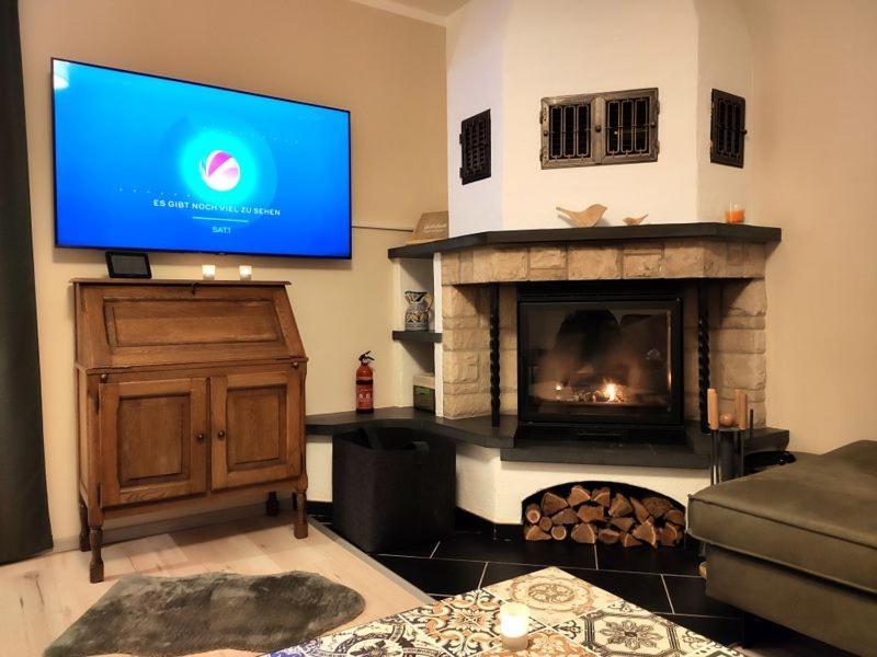 Ferienhaus Blaue Blume Mit 11 Kw Ladestation, Kamin, Terrasse, Eingezaeuntem Garten, Sauna, Wlan, Netflix, 2 Hunde Willkommen! Güntersberge Exterior foto
