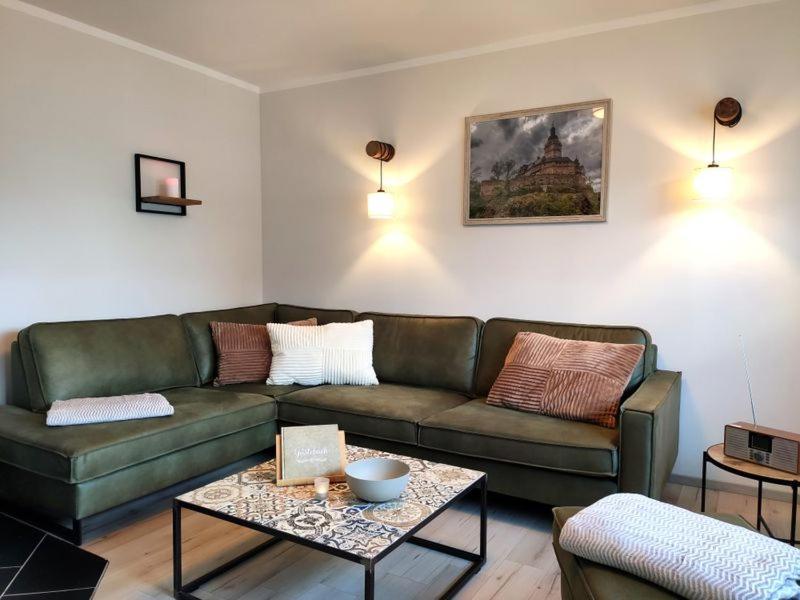 Ferienhaus Blaue Blume Mit 11 Kw Ladestation, Kamin, Terrasse, Eingezaeuntem Garten, Sauna, Wlan, Netflix, 2 Hunde Willkommen! Güntersberge Exterior foto